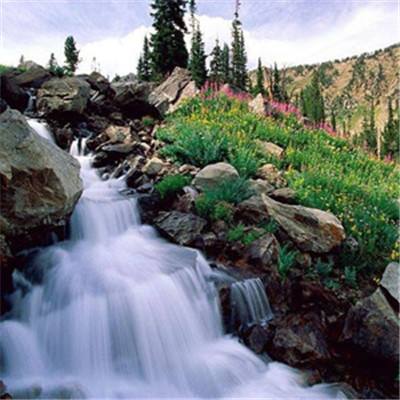 今天买什么特马app下载