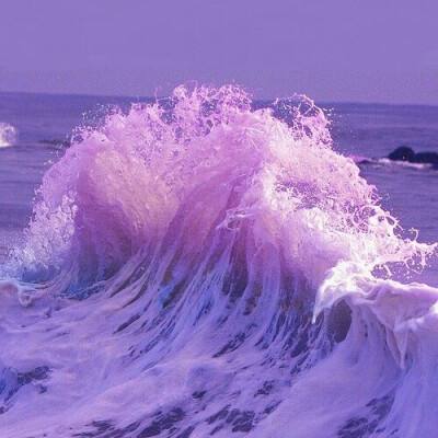 完美电竞平台app下载